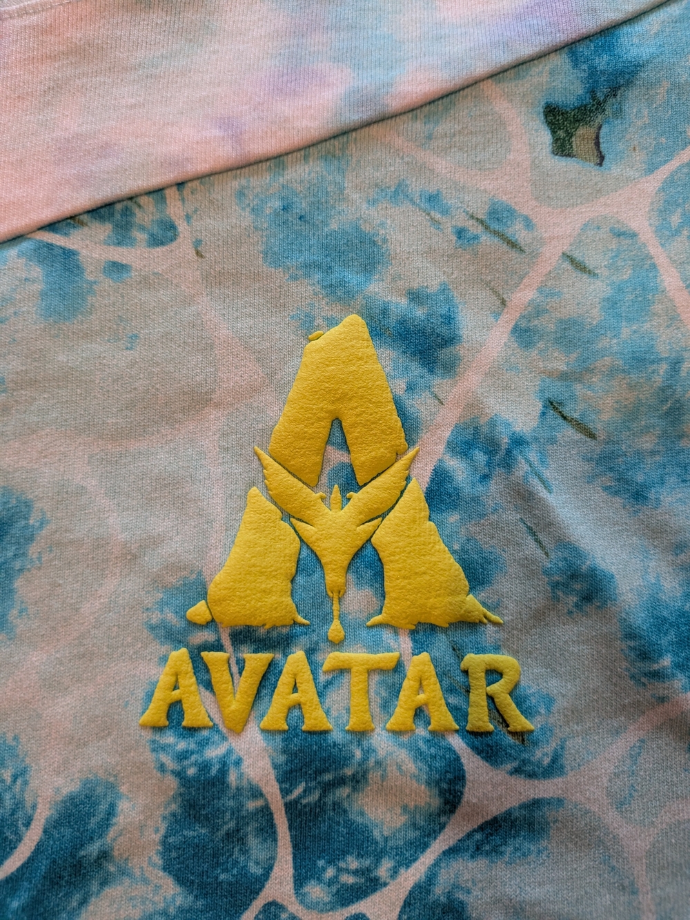Disney Avatar Hoodie